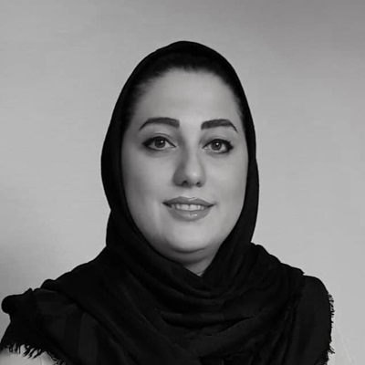 آغاز کار سفیران درسا آغاز کار سفیران درسا